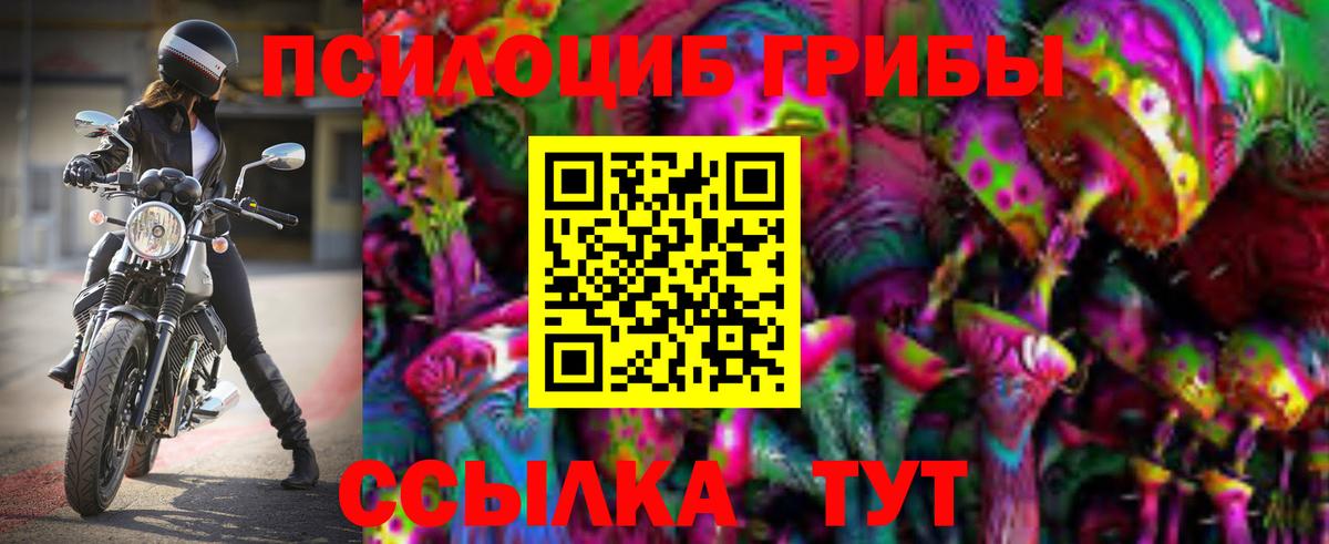 Чебоксары  Псилоцибиновые грибы ЛСД  Вход с VPN 